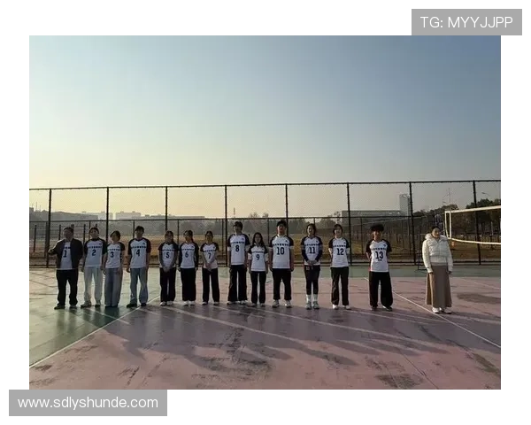 西安排球队的奋斗历程与精英赛背后的故事揭秘